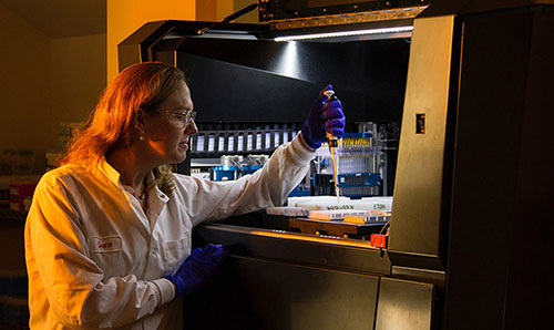 Two male students conducting an experiment in a lab